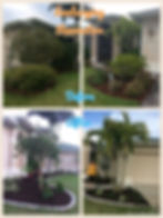 Landscape Renovation 3.JPG