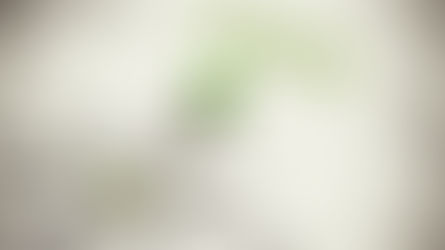 Procurement Trends to Affect Professionals