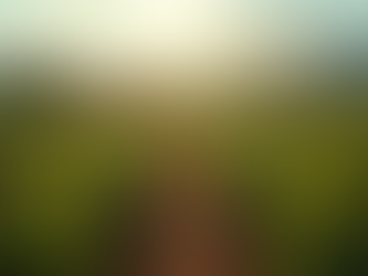 7 erros comuns que fazem você perder dinheiro no sítio ou fazenda