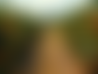 Citricultura de Laranja: O Que Você Precisa Saber para Maximizar a Produção