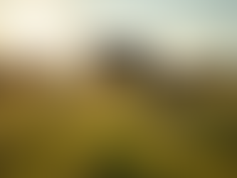 Indicadores de Desempenho na Bovinoscultura de Corte: Otimização para Aumentar a Lucratividade