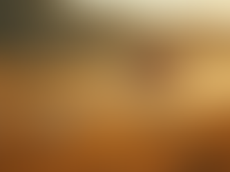 Como legalizar a produção de queijo e ovos artesanais: O que diz a lei em 2026