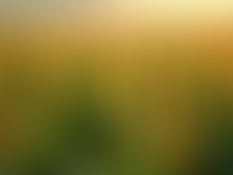 Cotações de Commodities Agrícolas: Maximize Seus Lucros no Mercado do Agronegócio