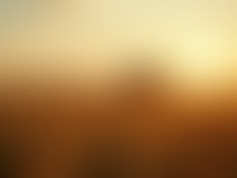 Custo de Produção por Hectare: Como Controlar e Otimizar Seus Gastos no Campo