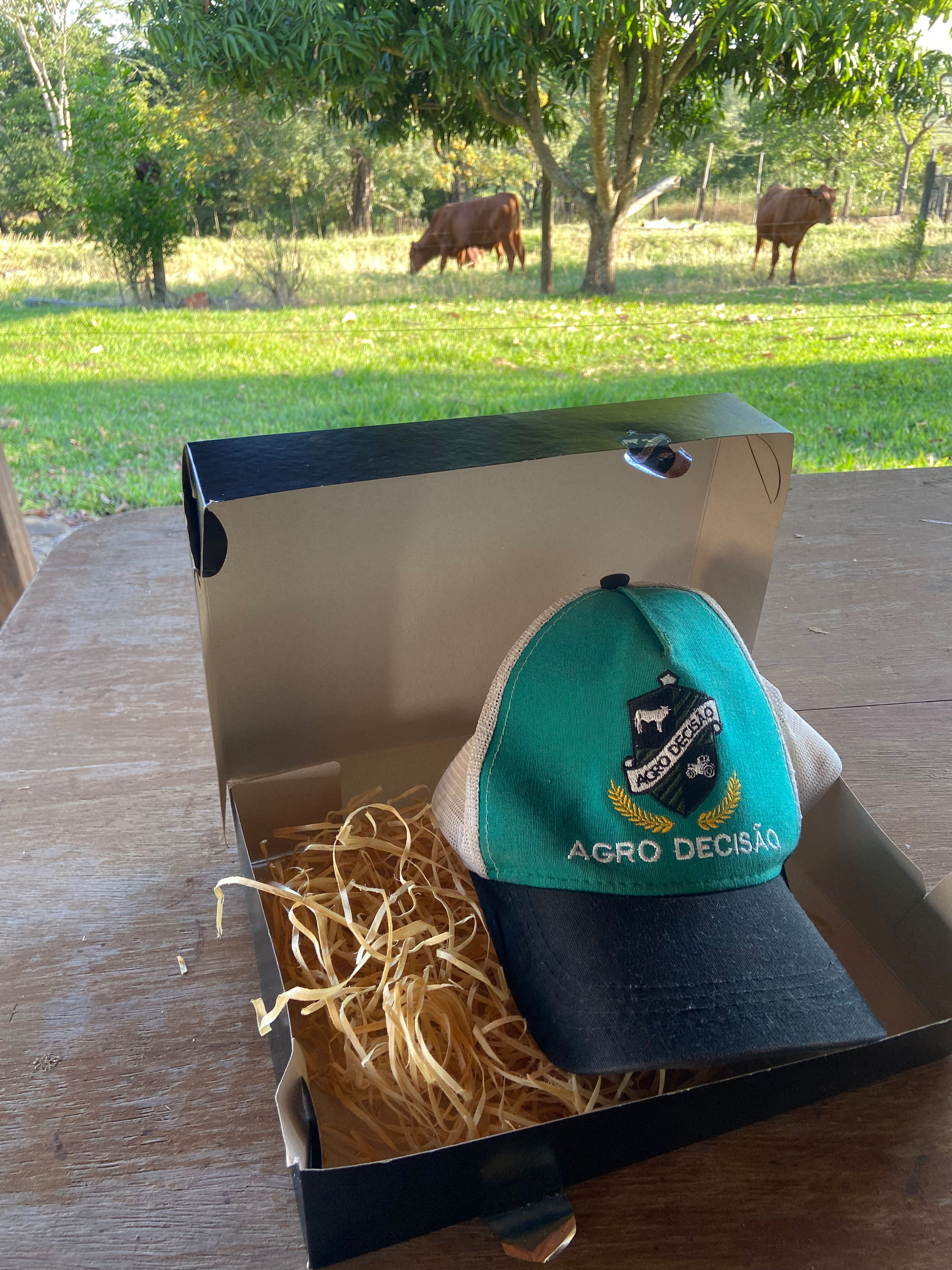 Boné Agro Decisão 1 – Estilo no Campo