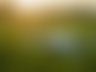 Drones de pulverização: tecnologia que transforma a agricultura