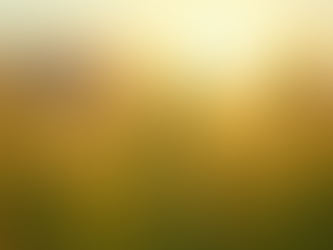 Preço do milho: como entender e aproveitar as oportunidades do mercado