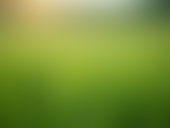 Linhas de crédito para renovação de pastagens degradadas em 2026