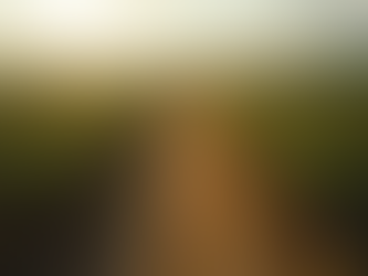 Holding Rural e Herança: O guia para evitar que o inventário consuma o patrimônio da família