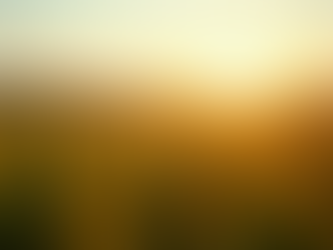 Conversão Alimentar: O segredo para reduzir o custo do quilo produzido na suinocultura e avicultura