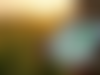 Agricultura de Decisão: Otimizando a Gestão Rural com Tecnologia