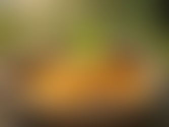 Crédito Rural e Plano Safra 2026/27: Oportunidades para o Campo