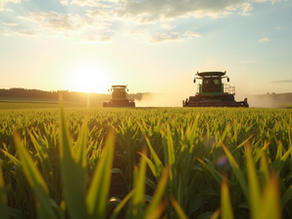 Soluções em Sistemas de Gestão Rural Online: Otimize sua Produção no Campo