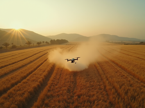 Passo a passo para usar drones na pulverização: Vale a pena o investimento?