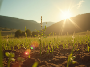 Livro Caixa Digital (LCDPR) e como evitar multas na declaração do IRPF