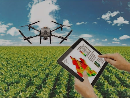 Mapeamento de Talhões e Georreferenciamento