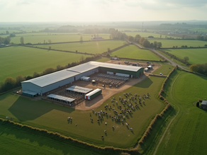 Como Calcular o Custo de Produção de Leite por Litro Usando Métodos Eficientes para Produtores Rurais