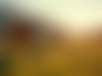 A Pecuária de Decisão: Gerenciando o Futuro do Campo com Estratégia e Tecnologia