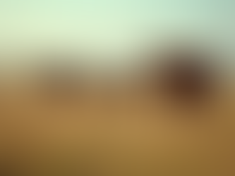 A Revolução da Pecuária de Precisão: Tecnologias para Gestão de Rebanho