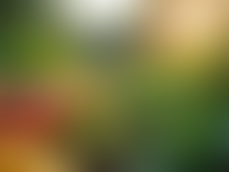 Como Planejar Sua Horta com o Aplicativo Agro Decisão: Guia Completo para Horticultores