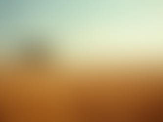 Vale a pena armazenar o grão na fazenda?