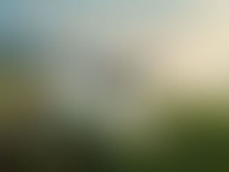 🛰️ Detecção de Pragas, Doenças e Deficiências Nutricionais