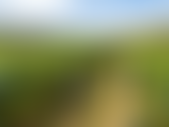 Como plantar Maracujá (Azedo e Doce)