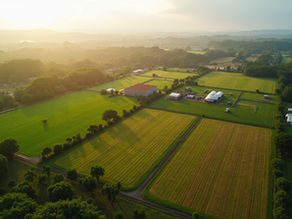 Sistema de WhatsApp do Agro Decisão transforma a gestão rural