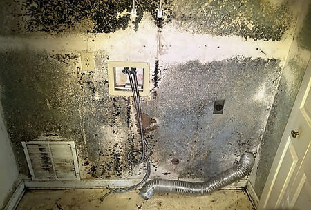 home in need of mold remediation