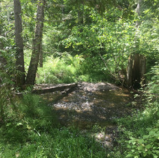 Creek 3.jpeg