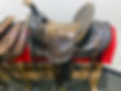 saddle.jpg