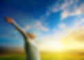 Man worshiping sun.jpg