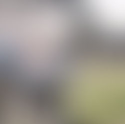 What you need to know about lambing rates