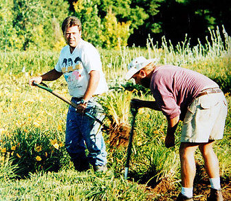 Digging-Daylilies.jpg