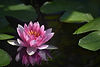 dreamstime_xl_125493772.jpg