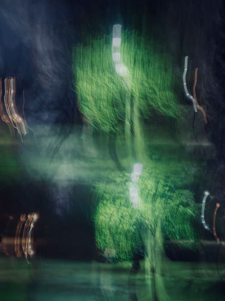 Green black white abstract expressionist trees in park digital photograph print of NJ