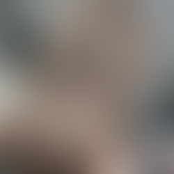 Light Summer highlights