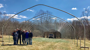 An old-fashioned barn raising—high tunnel style.