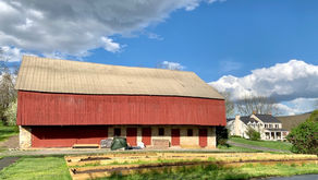 Dahlia season begins