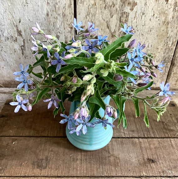 Something Blue