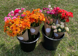 Photo Apr 14 2023, 9 40 19 AM_edited.jpg