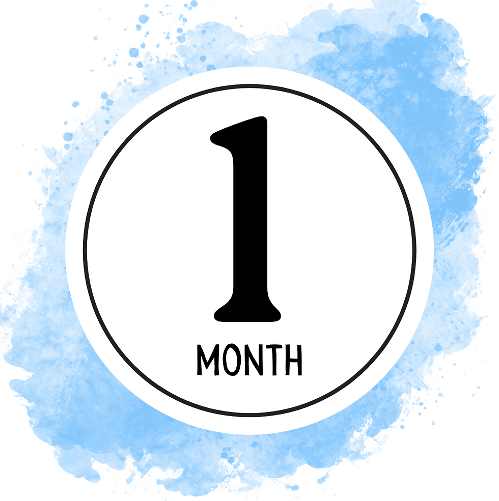 Monthly Milestone Cards-Blue