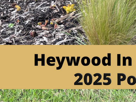 Heywood In Bloom Portfolio