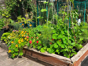 Tomorrow is the judging day for our It's Your Neigbourhood entrants to North West In Bloom.