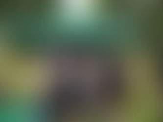 Heywood Charities Fete