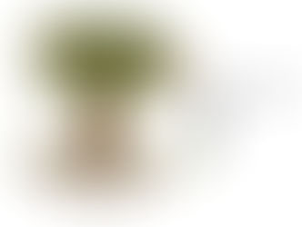 What Does Growth & Change Actually Look Like?