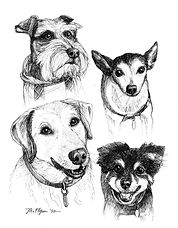 MMurnan Dog Collage 2022 very low res.jpg