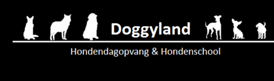 logo doggyday.png