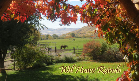 Re-grouping After a Long Hot Summer