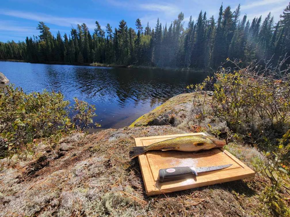 Walleye fishing packages — Air-Dale Fishing & Hunting – Air-Dale Fishing & Hunting